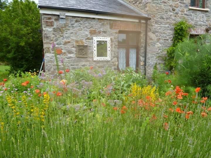 Middle Mill Bed & Breakfast Kidwelly Exterior foto